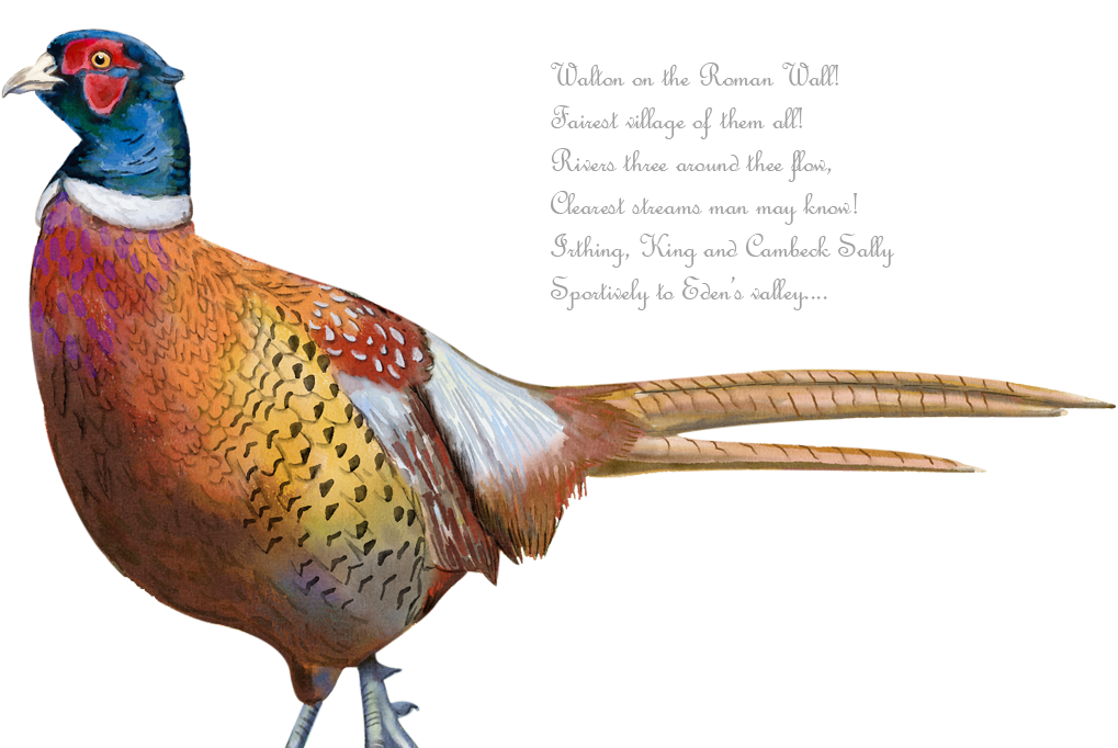 pheasant hand painting